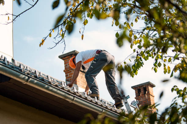 Best Roof Maintenance Services  in Jamestown, CA